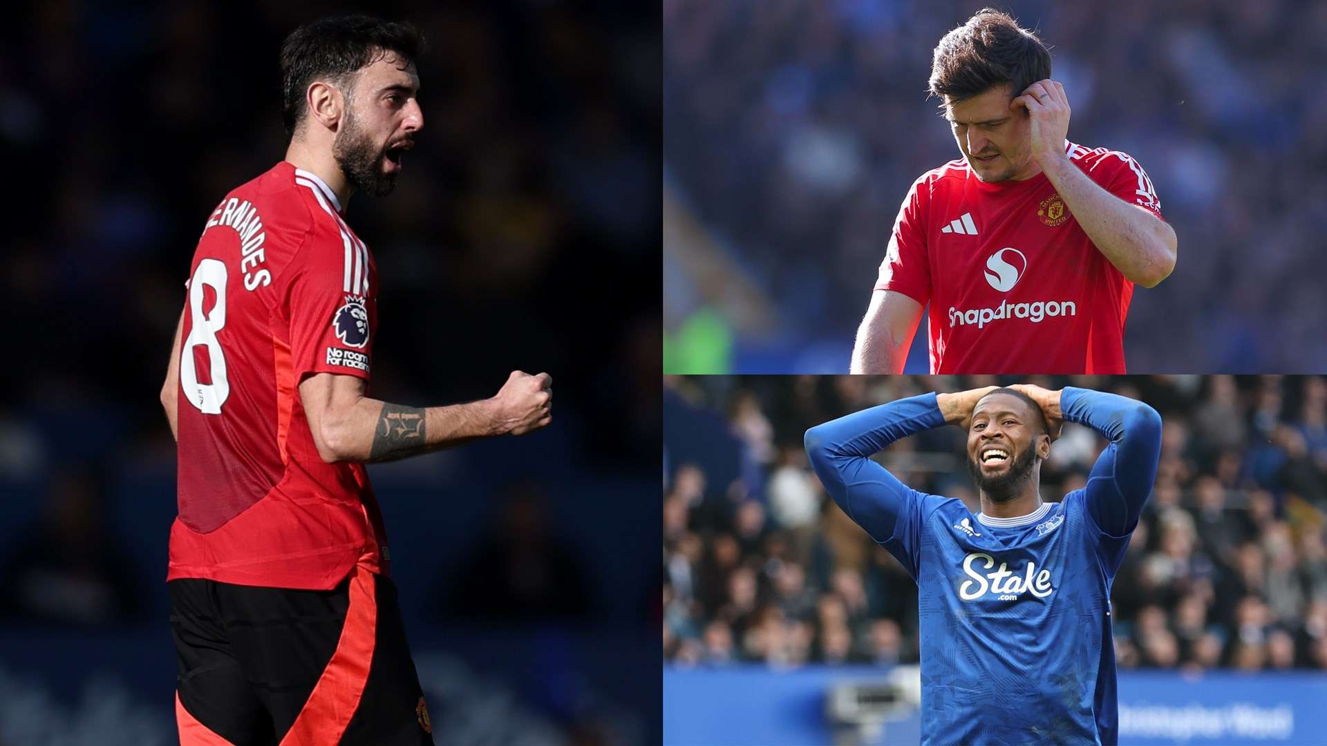 他们在某些 他们在某些