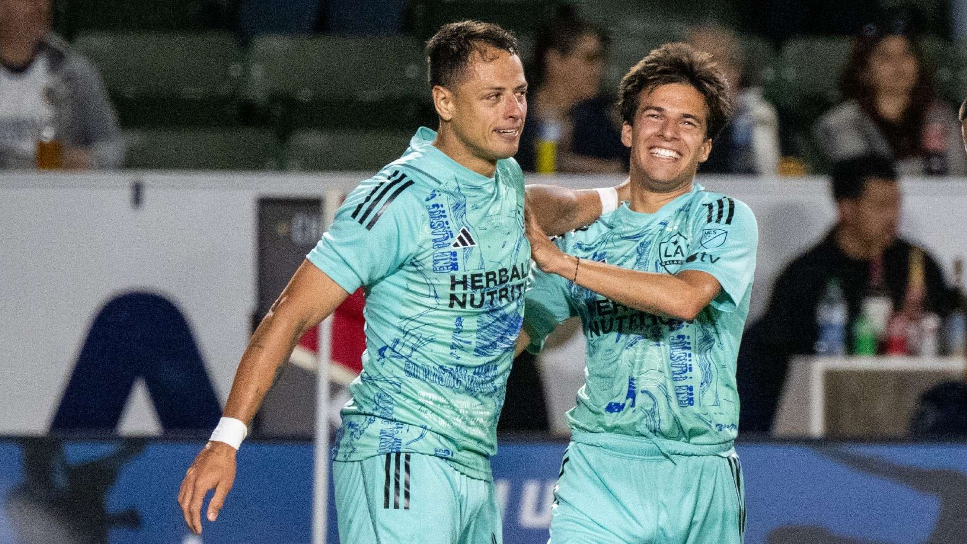 到了中国女 到了中国女